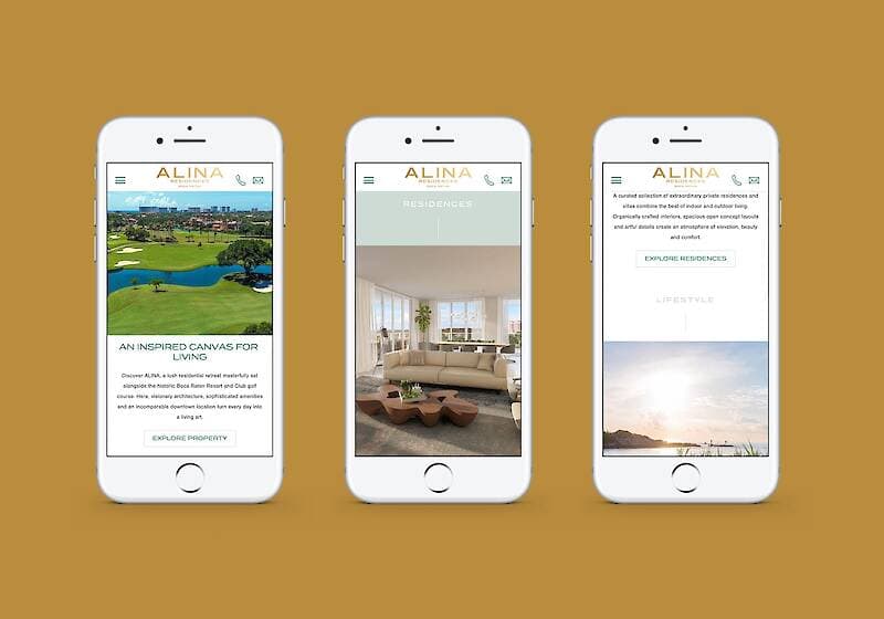 Alina Boca Raton project image