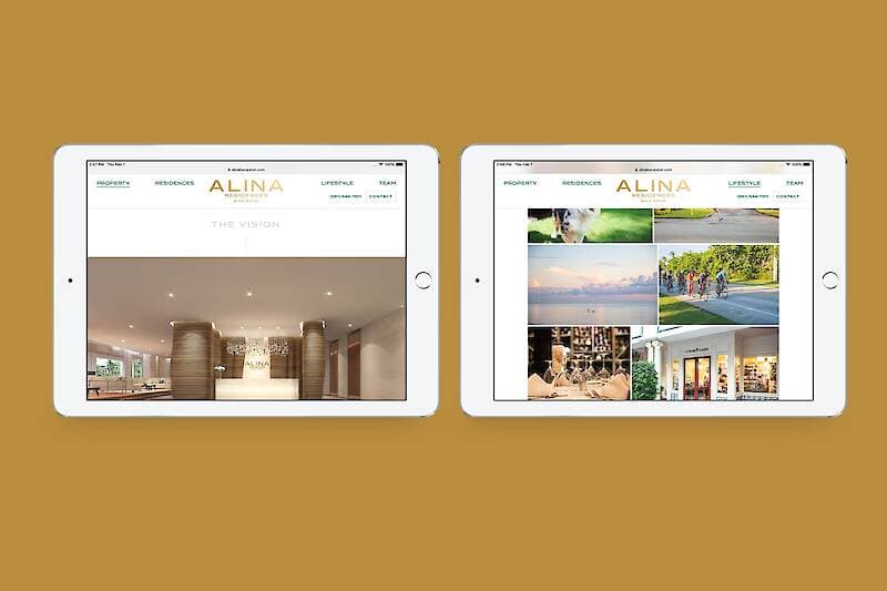 Alina Boca Raton project image