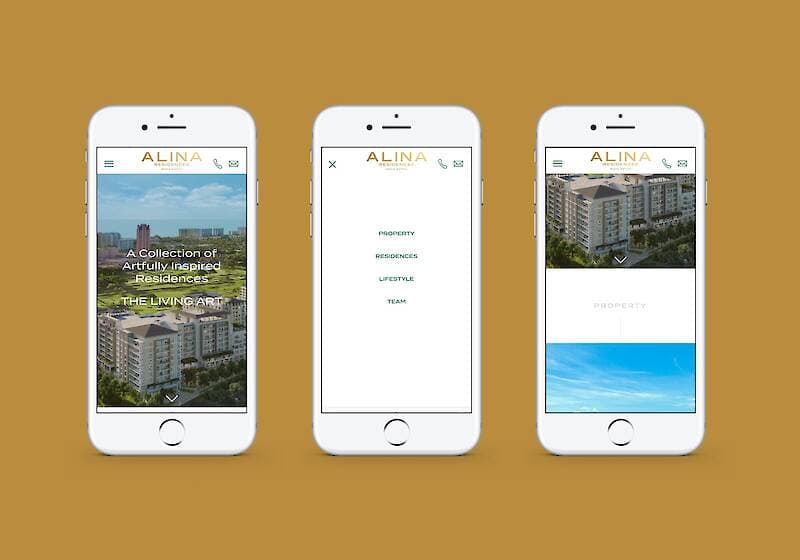 Alina Boca Raton project image