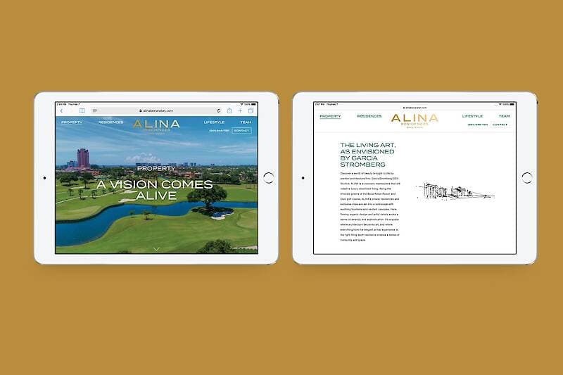 Alina Boca Raton project image