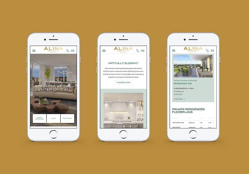 Alina Boca Raton project image