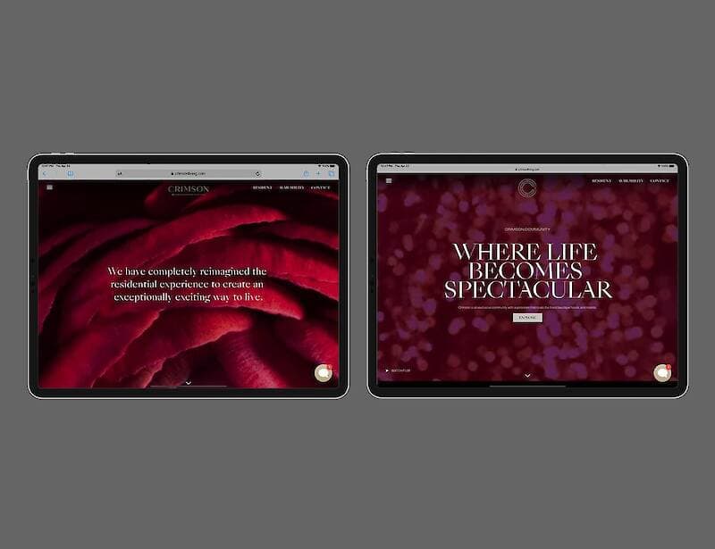 Crimson project image