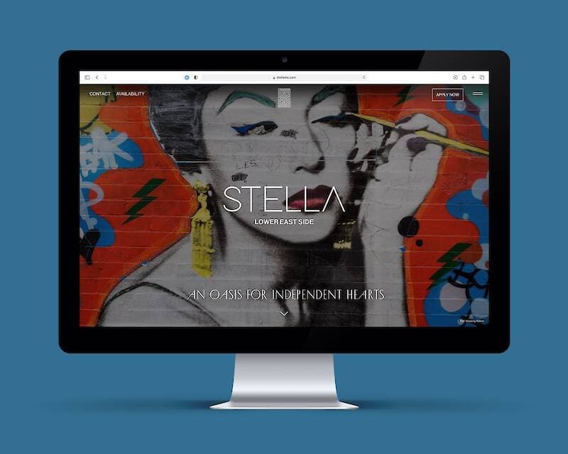 Stella LES project image