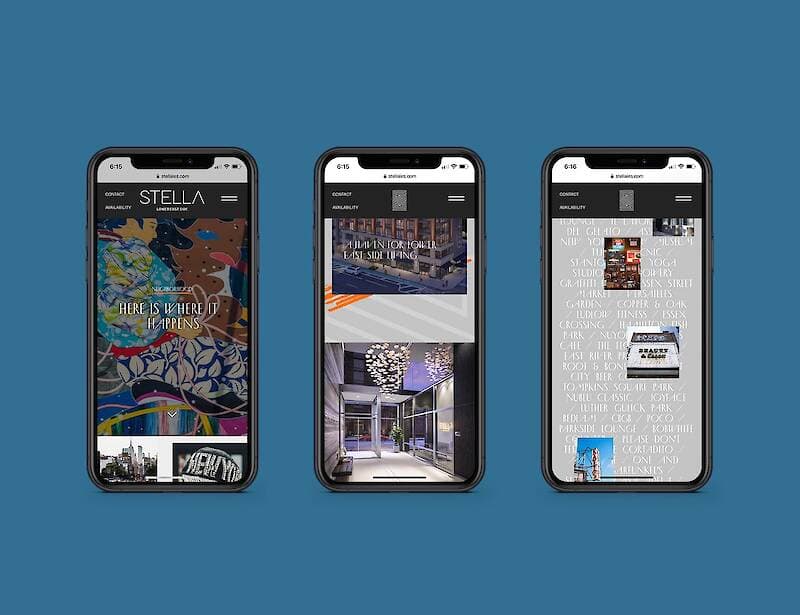 Stella LES project image