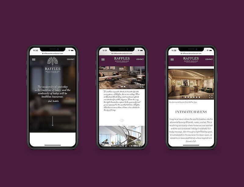 Raffles Residences Boston project image