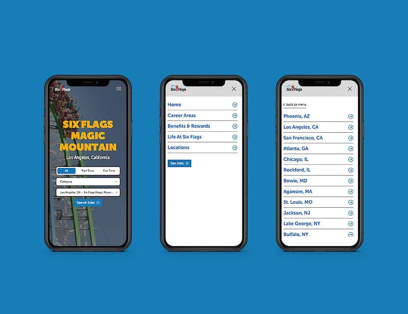 Six Flags project image