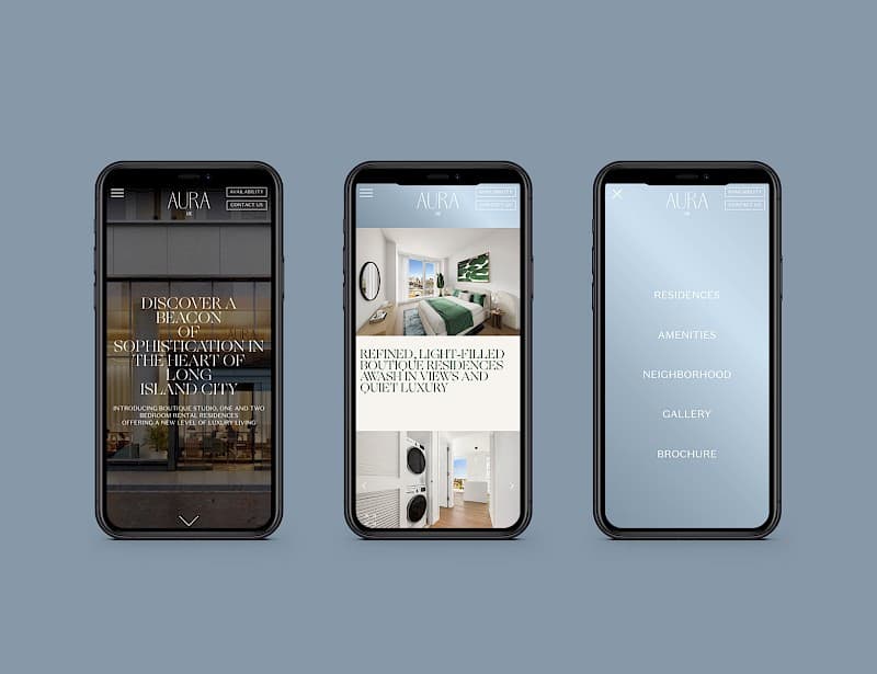 Aura LIC project image