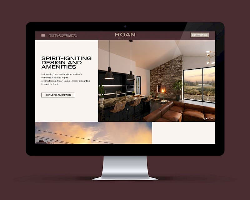 Roan project image